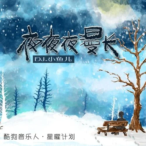 夜夜夜漫长-DJ小鱼儿