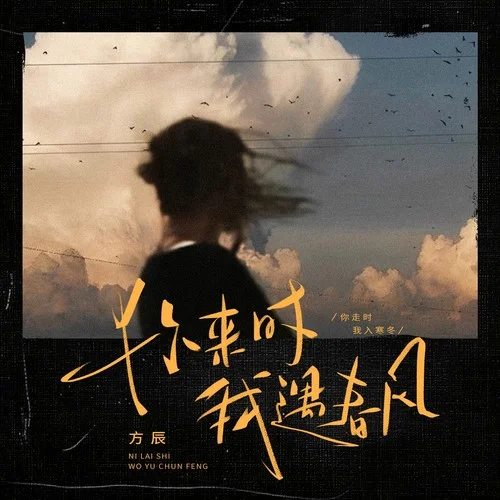 你来时我遇春风（你走时我入寒冬）-方辰