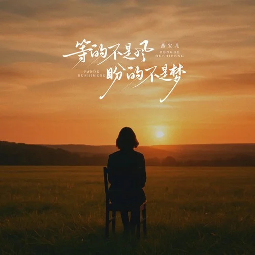 等的不是风 盼的不是梦-燕宝儿