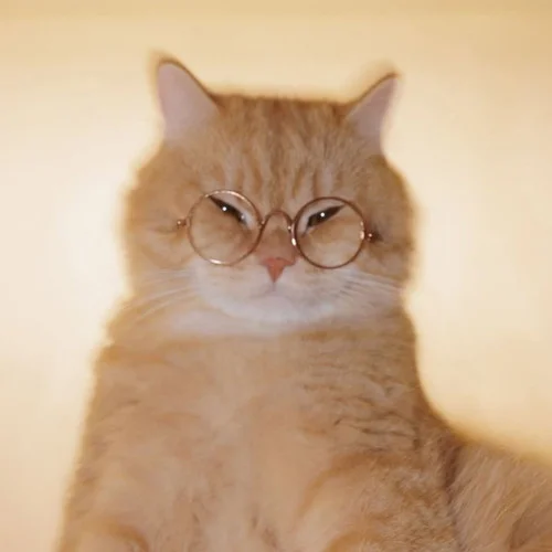 Montagem Miau-Lenar&Leonardo P