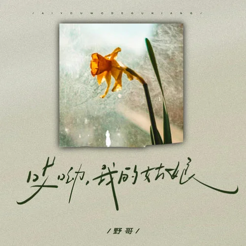 哎呦我的姑娘-野哥