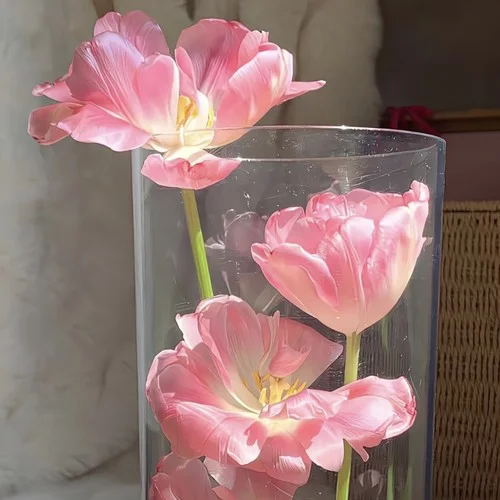 你最近过得还好吗 (DJ热播版)-Shake99