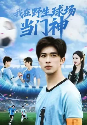 我在野生球場當(dāng)門神（31集）