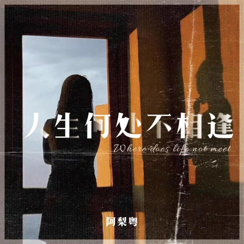人生何处不相逢-阿梨粤