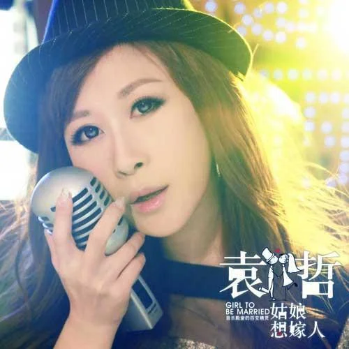 姑娘想嫁人-袁哲