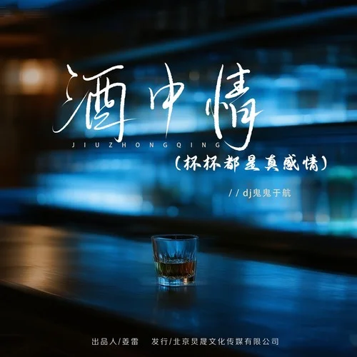 酒中情（杯杯都是真感情）-DJ鬼鬼于航