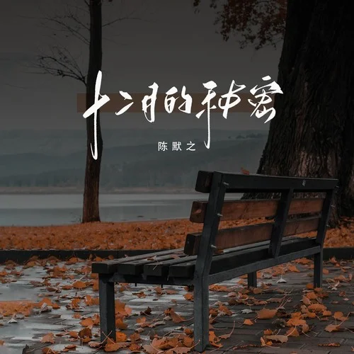 十二月的秘密-陈默之