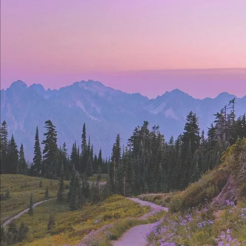 你失约的路 我自己走-DJ苏七七