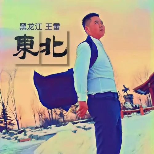 大东北 (cover: DJ 阿圣|李萌)-王雷