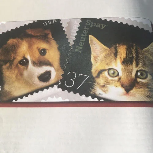 皇家萌卫-灵空GTech