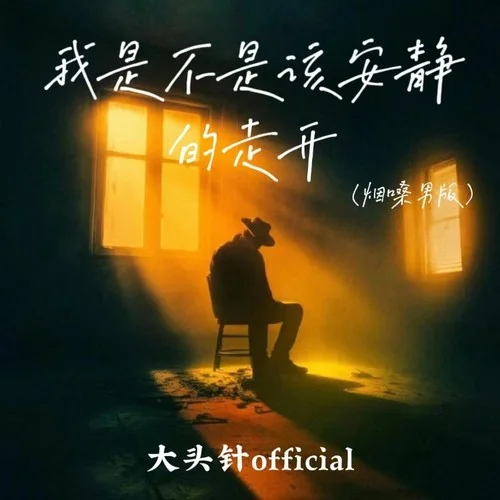 我是不是该安静的走开 (烟嗓男版)-大头针 Official