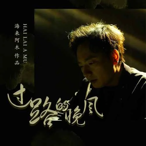 过路的晚风-海来阿木