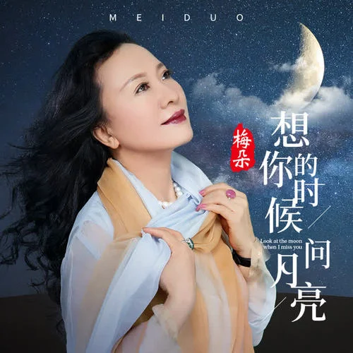 想你的时候问月亮-梅朵