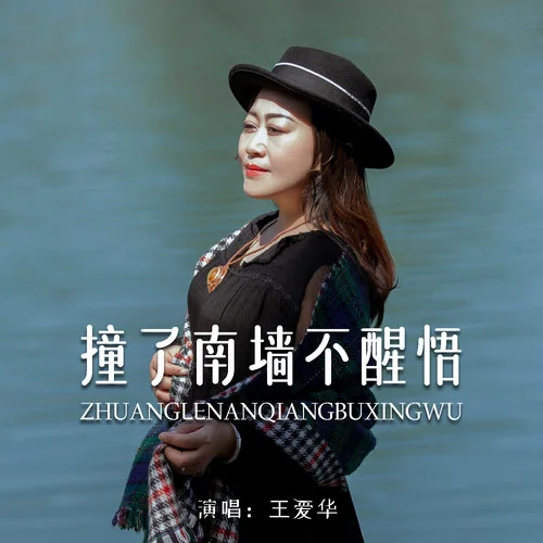撞了南墙不醒悟-王爱华
