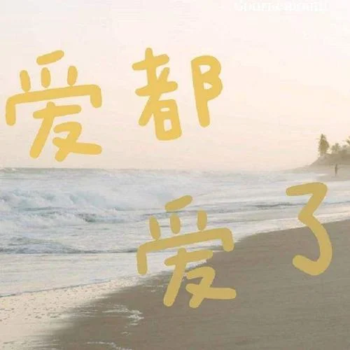 爱都爱了-小洲-小洲