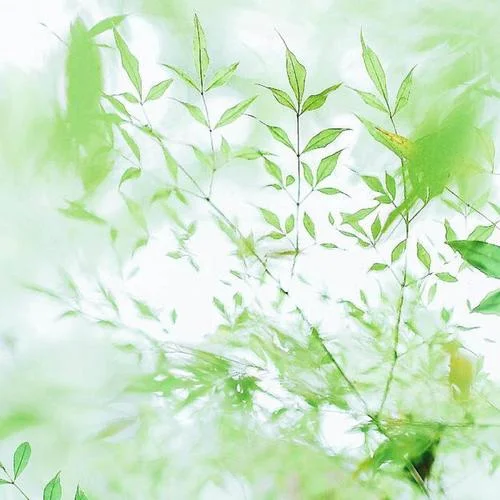 向往神鹰-容中尔甲