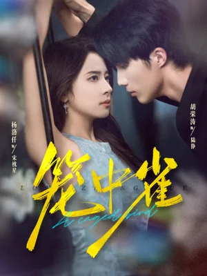 笼中雀(65集)胡荣涛&杨洛仟