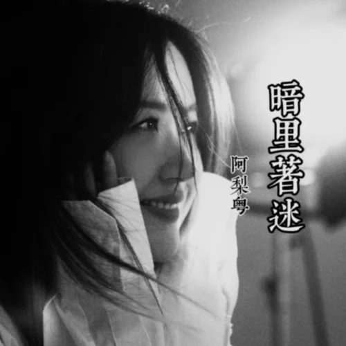 暗里着迷（女声版）-阿梨粤
