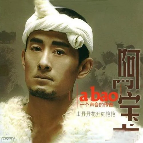 山丹丹花开红艳艳-阿宝