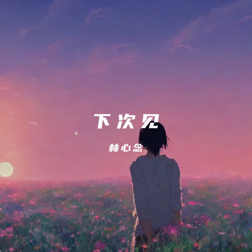 下次见-林心念