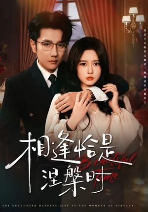 相逢恰是涅槃时（63集）黄波＆毛香淋