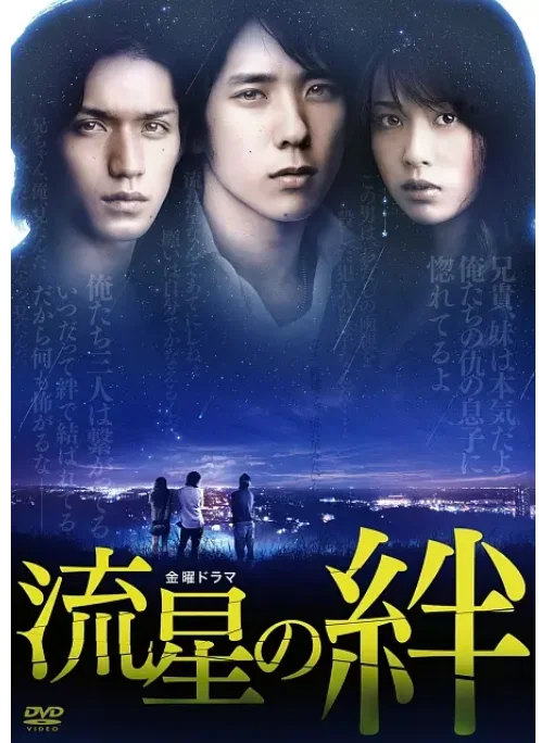 [夸克网盘][日剧]《流星之绊》（2008）剧情 豆瓣8.4