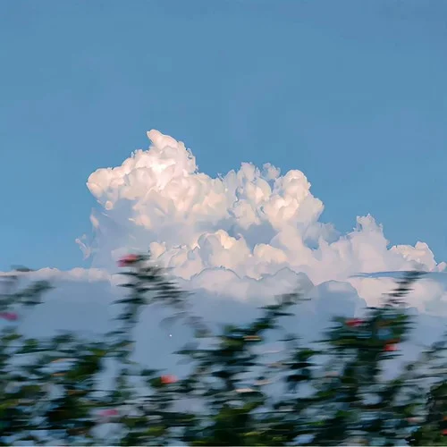 大不了(Live)-郭有才