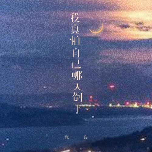 我真怕自己哪天倒下(烟嗓男版)-张良