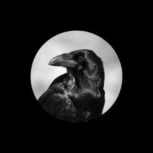 心如止水-Ice Paper