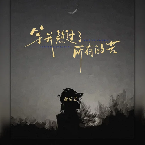 等我熬过了所有的苦-魏佳艺