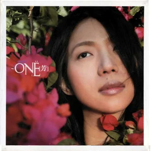 我记得你眼里的依恋-万芳