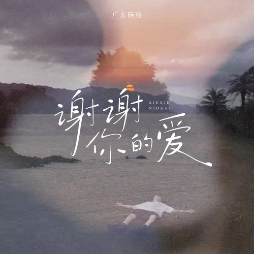 谢谢你的爱（是不敢不想不应该)-京六