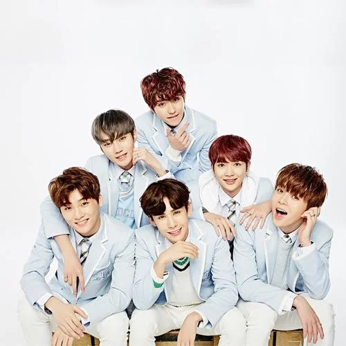 只因你太美-SWIN-S