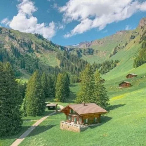 把悲伤留给自己-大头针&清日紫