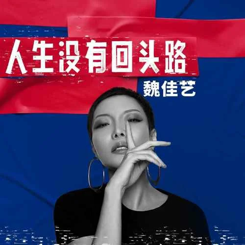 人生没有回头路-魏佳艺