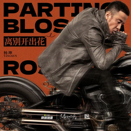 离别开出花-杨坤