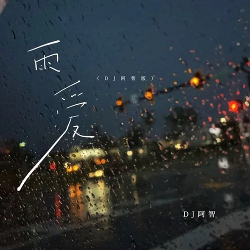 雨爱 (DJ阿智版)-DJ阿智