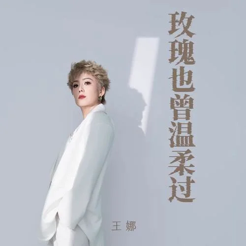 玫瑰也曾温柔过-王娜