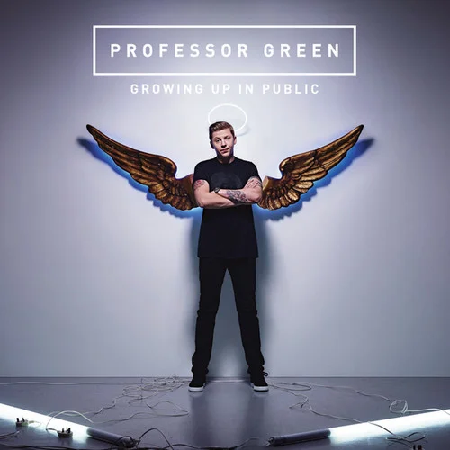 In the Shadow of the Sun-Professor Green