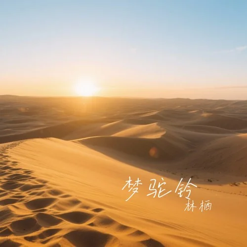 梦驼铃（深情版）-林栖