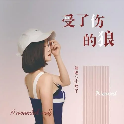 受了伤的狼-小玟子