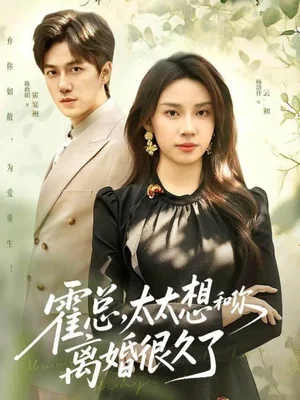 霍總，太太想和你離婚很久了（80集）陳政陽＆楊洛仟