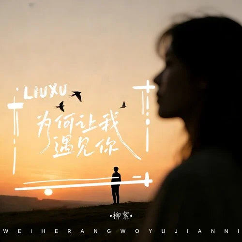 为何让我遇见你-柳絮