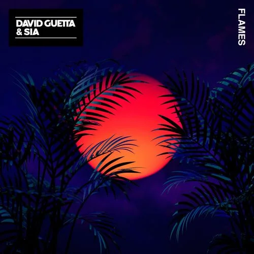 Flames-David Guetta&Sia