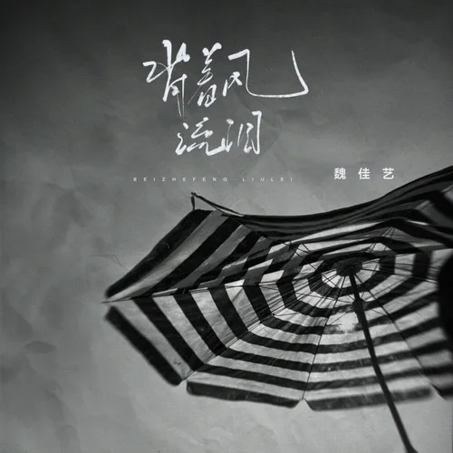 背着风流泪-魏佳艺