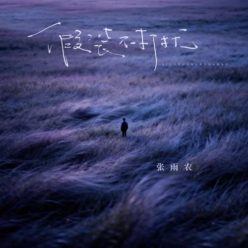 假装不打扰 (你一定要过得比我好)-张雨农