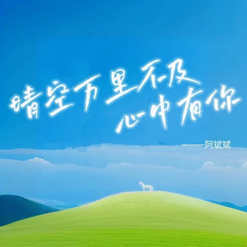 晴空万里不及心中有你 (DJ九零版)-阿斌斌