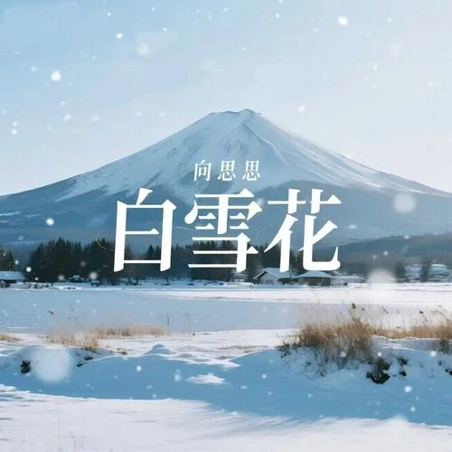 白雪花-向思思
