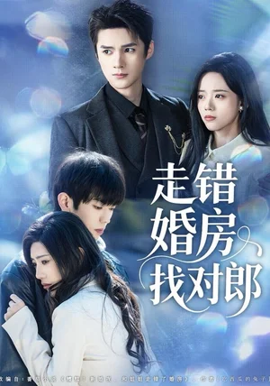 走错婚房找对郎（50集）刘辰锐＆刘艺然