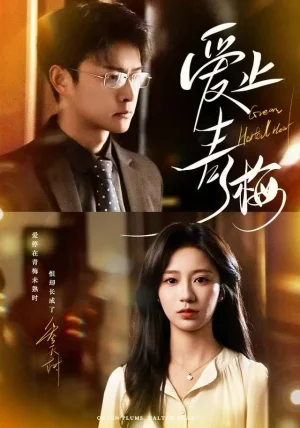 爱止青梅（60集）杨欢＆何怡婷